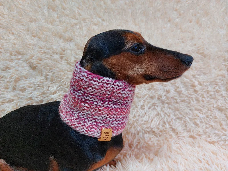 - Summer pet ice matWool scarf snood for dog with flower, scarf snood for small dogs, snood for dachshund, scarf for dachshund - Summer pet ice matWool scarf snood for dog with flower, scarf snood for small dogs, snood for dachshund, scarf for dachshund