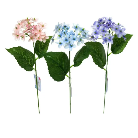 - Cat anti-jump window safety netLacecap Hydrangea