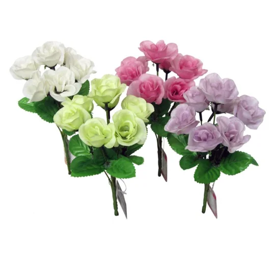 - Pregnant cat delivery room warming boxModest Rose Bush (Nature)