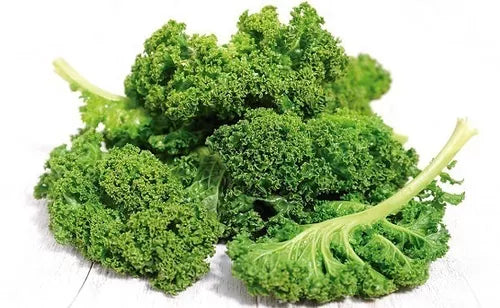 - Pet fence foldable indoorSemilla Kale