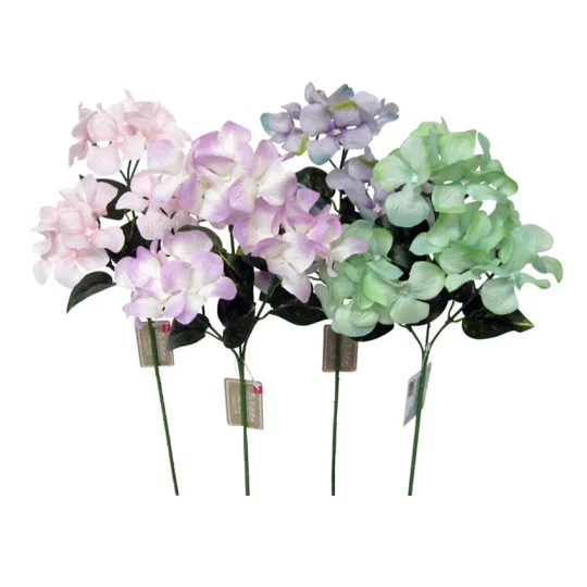 - Pregnant cat delivery room warming boxHydrangea (Clair)