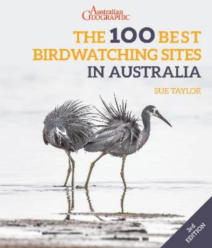 - Chinchilla cooling ice nest ceramic plateThe 100 Best Birdwatching Sites in Australia - Chinchilla cooling ice nest ceramic plateThe 100 Best Birdwatching Sites in Australia