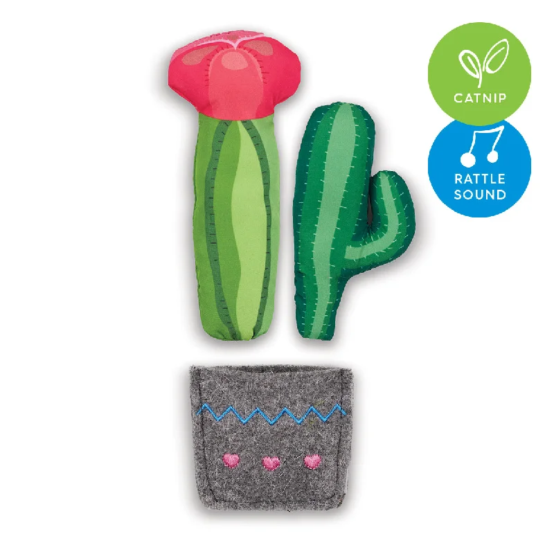 - Dog disposable foam shower gelCactus Garden with catnip and rattle