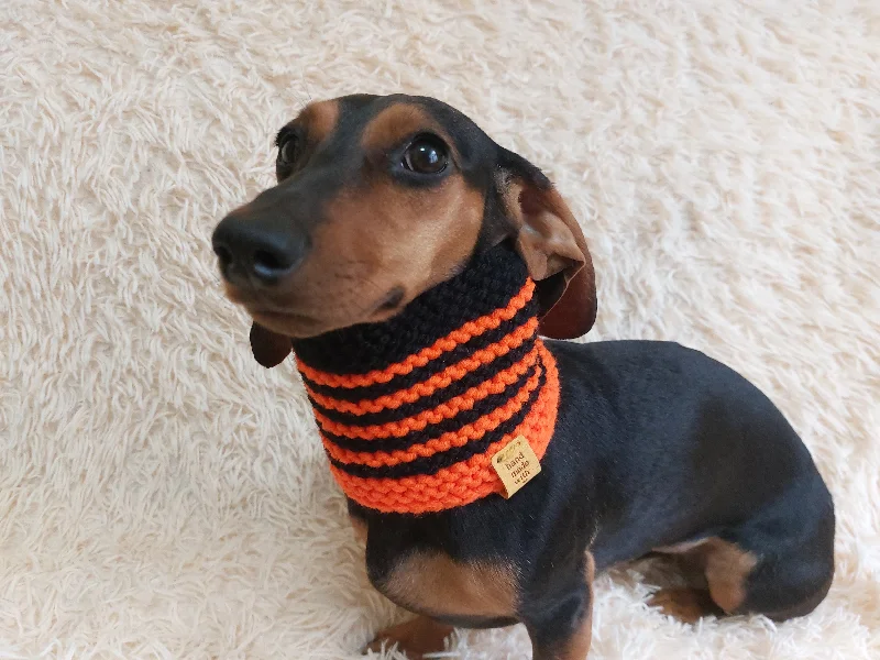 - Summer pet ice matHalloween bee warm winter woolen snood for a dog - warm snood for a dog with a braid on the neck - clothes for a dachshund, warm snood - Summer pet ice matHalloween bee warm winter woolen snood for a dog - warm snood for a dog with a braid on the neck - clothes for a dachshund, warm snood