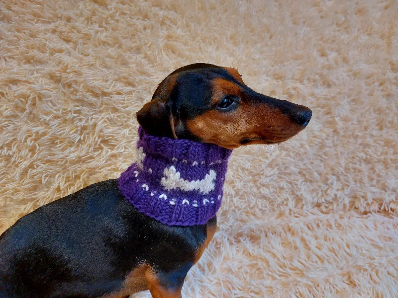 -Anti-scratch scratching board AND cat bed in oneWool snood collar for pets with bones, dog snood with warm neck made of wool with bones -Anti-scratch scratching board AND cat bed in oneWool snood collar for pets with bones, dog snood with warm neck made of wool with bones