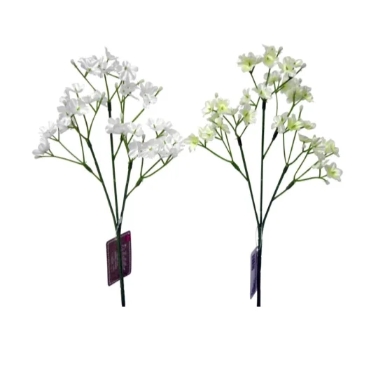 Pet ProductsGypsophila (Clair)