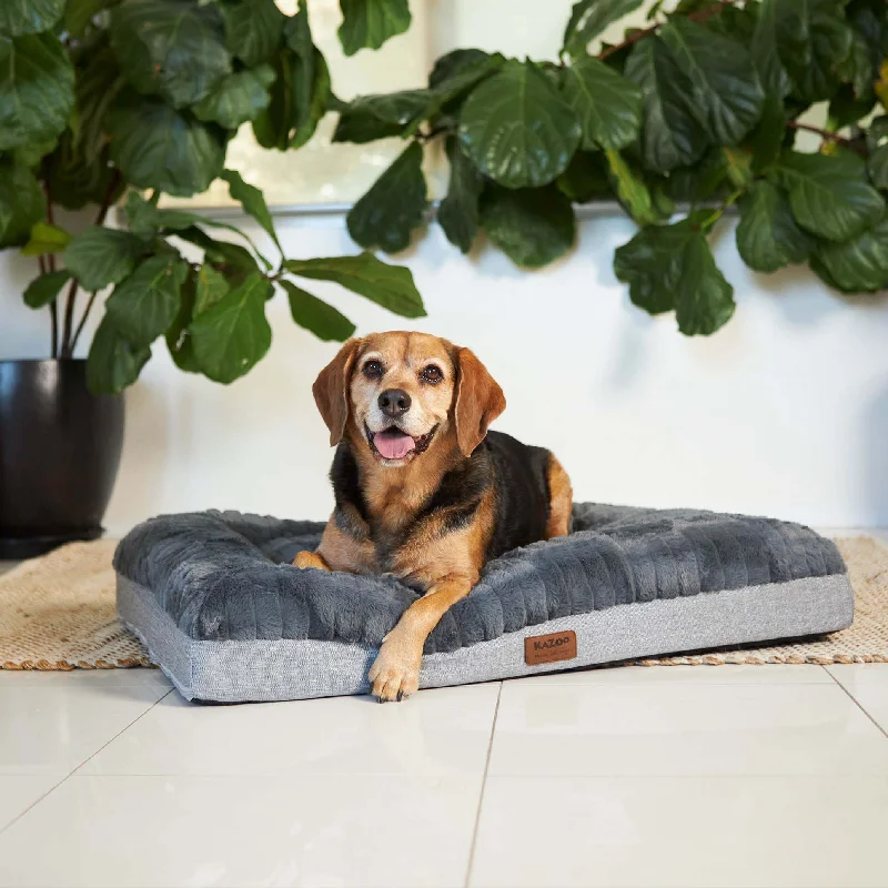 - Winter dog thick down jacketCloud Comfort Dog Bed - Charcoal & Grey