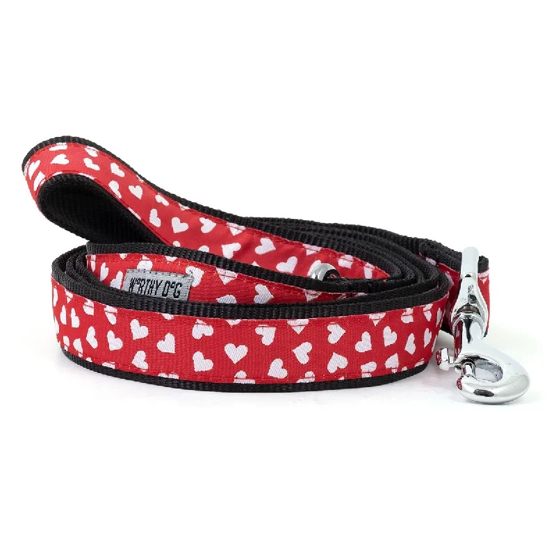  . **Cat backpack space capsule**Be Mine Dog Leash