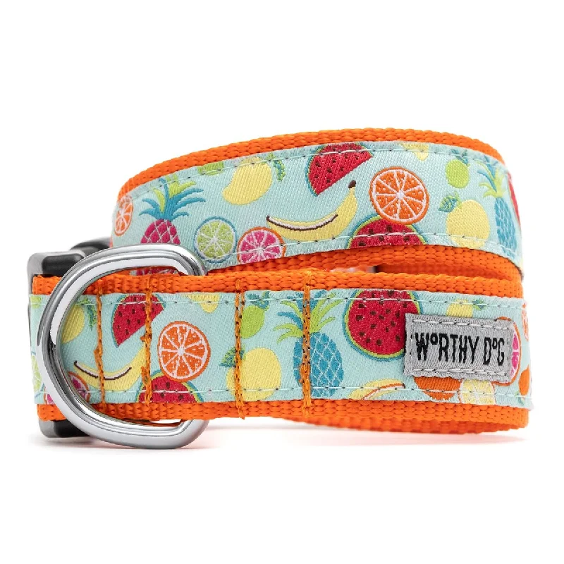  . **Pet toys are bite-resistant and wear-resistant**Tutti Frutti Dog Collar