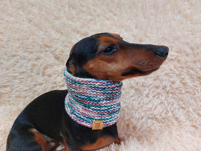 - Solid wood cat climbing frame customizedWool scarf snood for dog with flower, scarf snood for small dogs, snood for dachshund, scarf for dachshund - Solid wood cat climbing frame customizedWool scarf snood for dog with flower, scarf snood for small dogs, snood for dachshund, scarf for dachshund