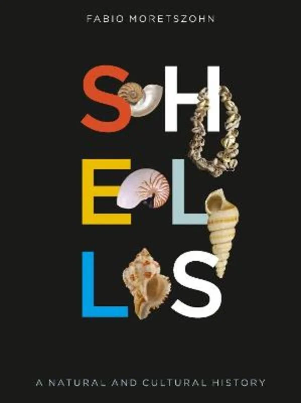 - Pet monitor with cameraShells