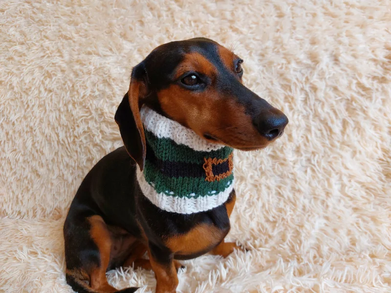 - Dog disposable foam shower gelHandknitted woolen santa christmas dog snood, knitted dog neck warmer, dachshund and snood dog scarf with pom poms - Dog disposable foam shower gelHandknitted woolen santa christmas dog snood, knitted dog neck warmer, dachshund and snood dog scarf with pom poms