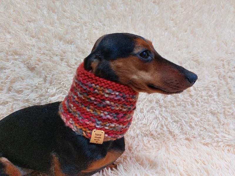 ---Wool scarf snood for dog with flower, scarf snood for small dogs, snood for dachshund, scarf for dachshund ---Wool scarf snood for dog with flower, scarf snood for small dogs, snood for dachshund, scarf for dachshund