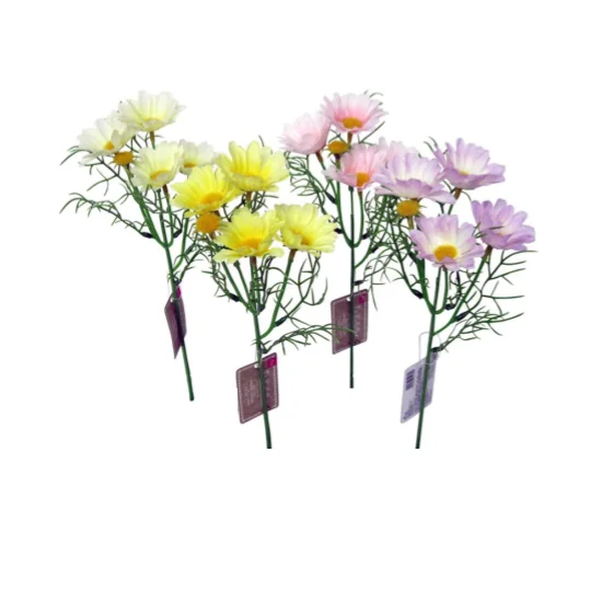 - Foldable and portable cat bagDaisy Clair