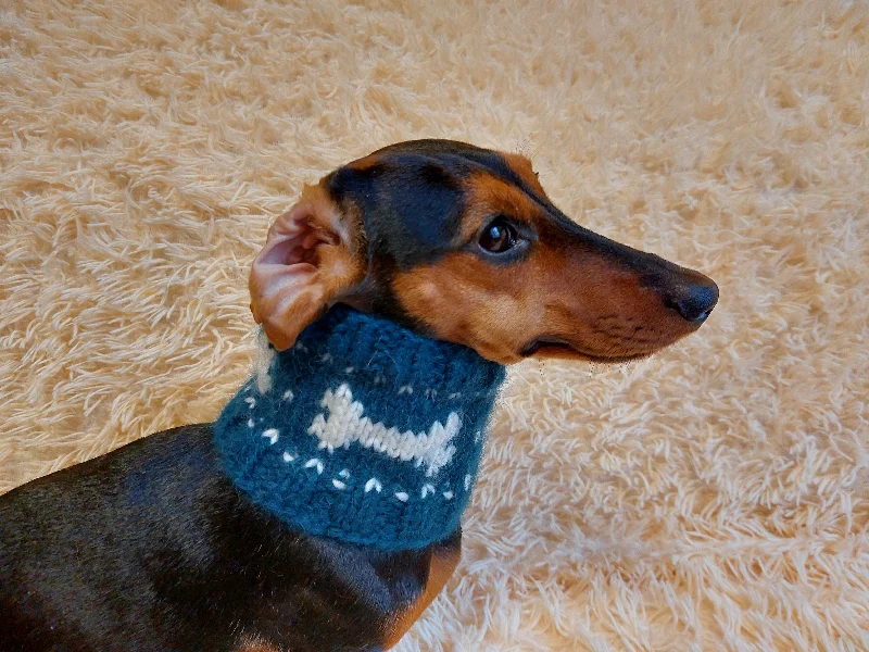 - Pet toys under yuanWool snood collar for pets with bones, dog snood with warm neck made of wool with bones - Pet toys under yuanWool snood collar for pets with bones, dog snood with warm neck made of wool with bones