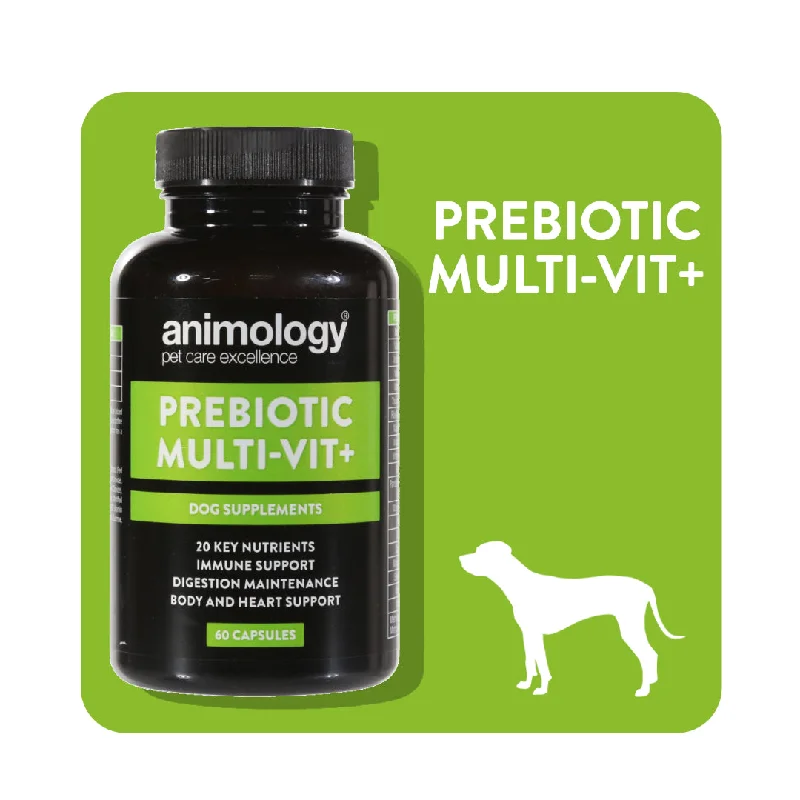 - Automatic induction pet water dispenserAnimology Prebiotic & Multivitamin Dog Supplement (60 Caps)