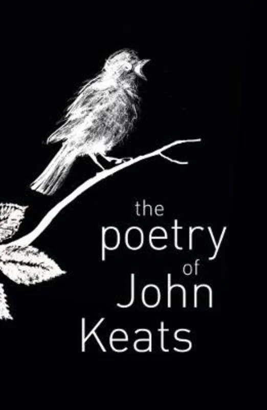 - Solid wood cat climbing frame customizedThe Poetry of John Keats