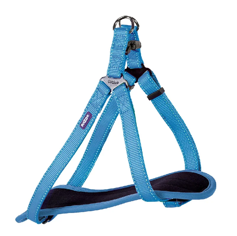 - Cat nail clippers with LED lightsClassic Walking Dog Harness - Aqua