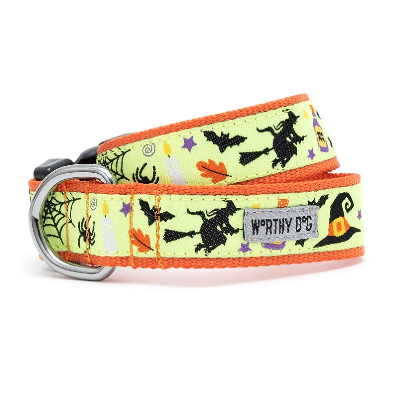  . **Pet collar with custom engraving**Witches Brew Dog Collar