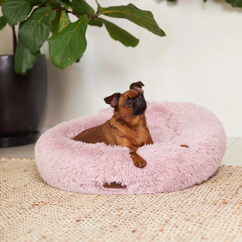 - Winter warm clothes for short-haired dogsPeacock Dog Bed - Rose