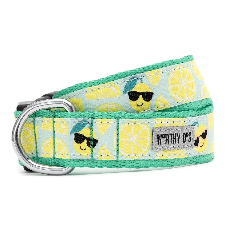  . **Dog traction rope is automatically retractable**Lemons Dog Collar