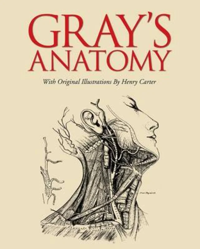 - Remote interactive pet feederGrays Anatomy