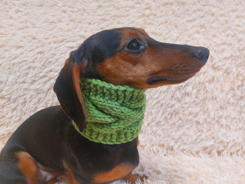 - Postoperative pet anti-licking Elizabethan collarWarm winter woolen snood for dog - warm snood for dog with braid on the neck - clothes for a dachshund - Postoperative pet anti-licking Elizabethan collarWarm winter woolen snood for dog - warm snood for dog with braid on the neck - clothes for a dachshund