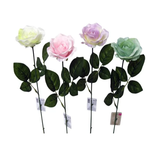 - Natural latex pet mattressOpen Rose (Claire)