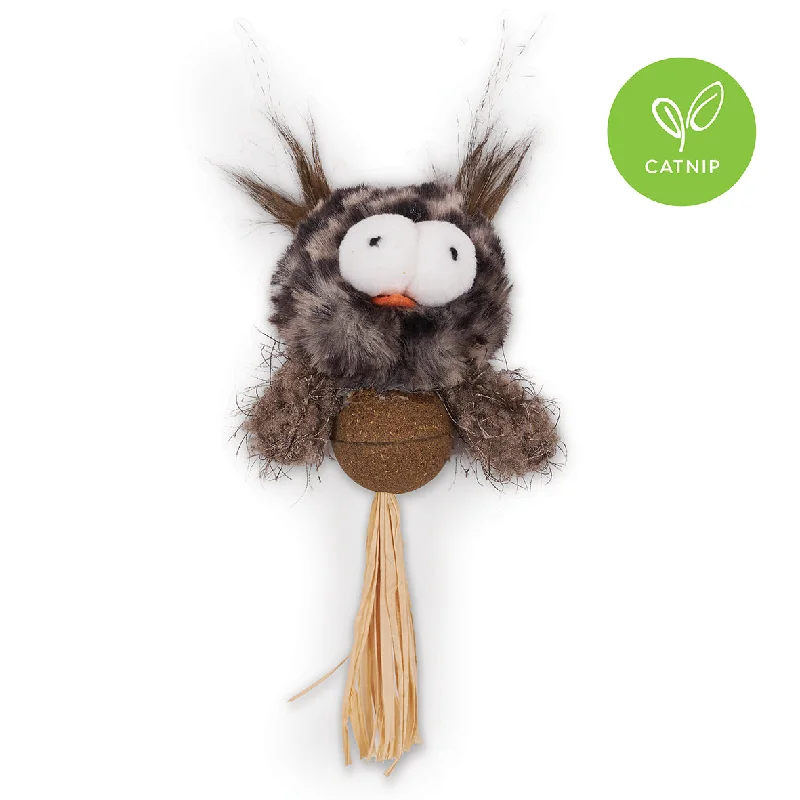 - Custom pet birthday cakeHooty Owl with Catnip