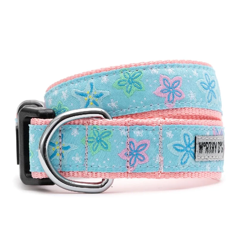   . **Pet water dispenser is silent**Starfish Floral Dog Collar
