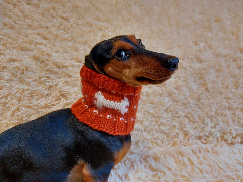 - Winter warm clothes for short-haired dogsWool snood collar for pets with bones, dog snood with warm neck made of wool with bones - Winter warm clothes for short-haired dogsWool snood collar for pets with bones, dog snood with warm neck made of wool with bones