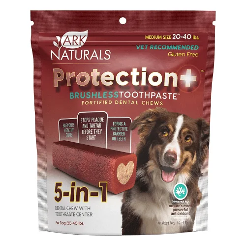 - Dog disposable foam shower gel*(Best By 2025-05-31)* Dog Dental Chew - PROTECT, Protection+ Brushless Toothpaste, 18 oz Medium 20-40 lbs - Dog disposable foam shower gel*(Best By 2025-05-31)* Dog Dental Chew - PROTECT, Protection+ Brushless Toothpaste, 18 oz Medium 20-40 lbs