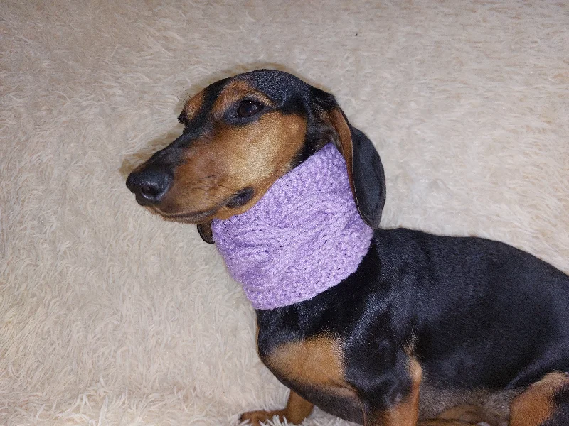 - Air box TSA certified check-inWarm winter woolen snood for dog - warm snood for dog with braid on the neck - clothes for a dachshund