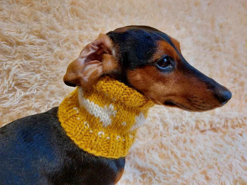 -Explosion-proof leash FOR LARGE dogsWool snood collar for pets with bones, dog snood with warm neck made of wool with bones -Explosion-proof leash FOR LARGE dogsWool snood collar for pets with bones, dog snood with warm neck made of wool with bones