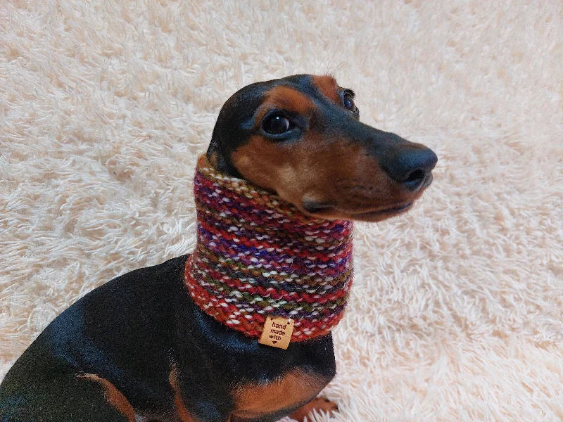 - Degradable pet feces bagWool scarf snood for dog with flower, scarf snood for small dogs, snood for dachshund, scarf for dachshund