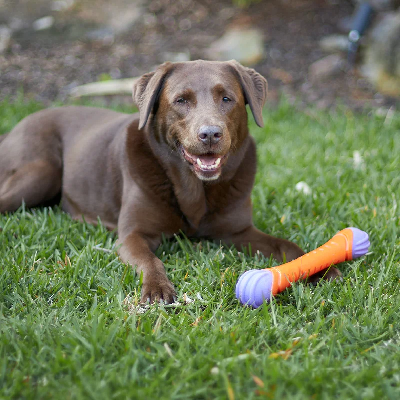 - Durable nylon dog leash wholesaleExtreme Play Dog Chew Stick - Large